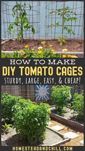 How To Make A Diy Tomato Cage Sturdy Easy Cheap Homestead And Chill Tomato Cages Tomato Cage Diy Growing Food
