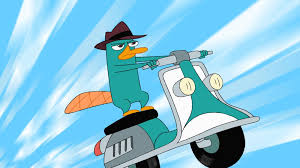 Maybe you would like to learn more about one of these? Why We Love Perry The Platypus Oh My Disney Perry The Platypus Phineas And Ferb Phineas And Ferb Perry