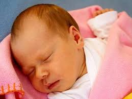 Fotogalerie: Miminka 8. týdne