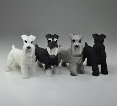 Affordable and search from millions of royalty free images, photos and cute standing giant schnauzer puppy looking up isolated on a white background. Schnauzer Giant Schnauzer Mini Schnauzer Schnauzer Etsy