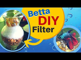 How To Make A Easy Diy Aquarium Filter For Betta Fish Sponge Air Pump Filter Diy Aquarium Filter Diy Aquarium Aquarium Filter