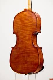 Image result for Viola eminii