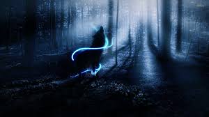 Wolf Night Forest Wallpapers Top Free Wolf Night Forest Backgrounds Wallpaperaccess Black, dark, forest, monochrome, roads, trees, white. wolf night forest wallpapers top free
