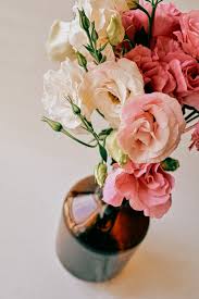 Freshest lisianthus at wholesale prices. Lisianthus Pictures Download Free Images On Unsplash