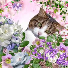 Chat mignon avec des fleurs - GIF animé gratuit - PicMix