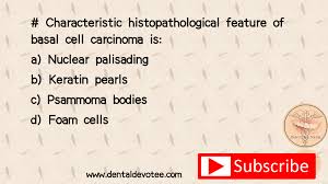 Red obelisk blue obelisk green obelisk crystal metal rich metal obsidian silica pearls oil rock black pearl polymer element ore keratin blue gem green gem red gem expansion packsexpansion mapsother Dentosphere World Of Dentistry Histopathological Feature Of Basal Cell Carcinoma