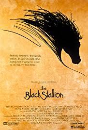 Free download or read online the black stallion pdf (epub) book. The Black Stallion Teach With Movies