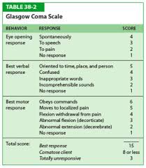 the glasgow coma scale gcs for first aiders first aid