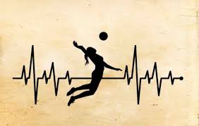 pin de yalissa mckeon em volleyball tatuagens de volei papel de parede de volei desenho de volei