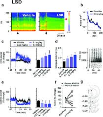 lsd modulates the power of hfo 130 180 hz and low gamma 40 60 hz in download scientific diagram