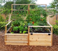If you're looking for a cheap way to build a diy raised garden bed and you have access to discarded wood fence, i'll help you learn how to make one (or three) in just a few. 3 X6 Convertible Raised Garden Bed With Removable Greenhouse Panels Gardens To Gro