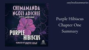 Purple Hibiscus Chapter 1 Summary - YouTube