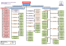 University Of Anbar Organizational Structure