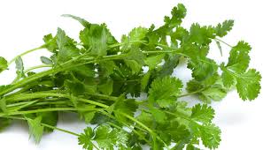 Find here dhaniya powder, coriander powder manufacturers, suppliers & exporters in india. Super Coriander The Leaf That Can Lower Uric Acid Creatinine Levels Health Healthcare Onmanorama Creatinine Uric Acid Ayurveda Well Being Coriander Leaf Medication