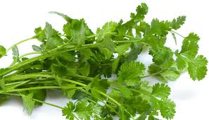 Creatine is a supplement often used by athletes to increase performance, as it. Super Coriander The Leaf That Can Lower Uric Acid Creatinine Levels Health Healthcare Onmanorama Creatinine Uric Acid Ayurveda Well Being Coriander Leaf Medication