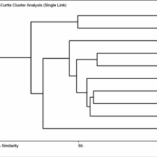 Image result for Rytigynia kiwuensis