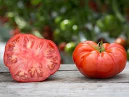 Most gardeners in the uk grow their tomatoes in containers and it is not surprising given the benefits… if you are new to growing tomatoes, it's a good idea to start with an easy tomato variety to grow. How To Grow Tomatoes A Beginner S Guide To Vegetable Gardening