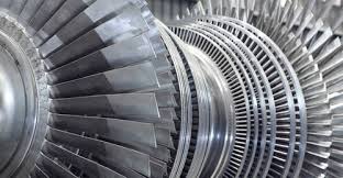 Image result for Turbina longiflora