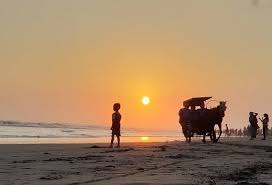 Tebing yang ditumbuhi rumput hijau tersebut semakin menarik dengan adanya pohon miring yang memang menjadi lokasi favorit membidik sunset. Sunset Romantis Pantai Parangtritis Yogya Rute Dan Harga Tiket Masuk