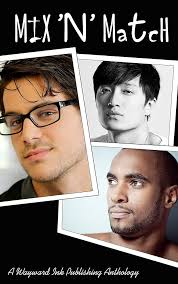 Mix 'n' Match: A Wayward Ink Publishing Anthology