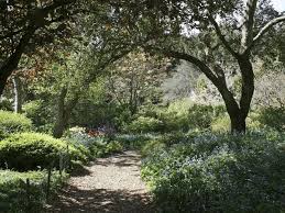 It is not suitable for heavy traffic such as loaded wheel barrels. Garden Path Free Stock Photos Rgbstock Free Stock Images Micromoth May 01 2010 59