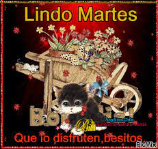 sssssssssssss | Gifs feliz martes, Feliz martes, Martes