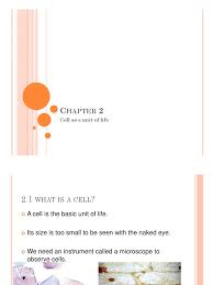 Learn vocabulary, terms and more with flashcards, games and other study tools. Science Form 1 Chapter 2 Tissue Biology Cell Biology