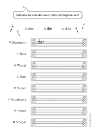 Diese können sie kostenlos downloaden. Drucke Selbst Kostenlose Arbeitsblatter Fur Das Fach Deutsch Zum Thema Begleiter Fur Die 1 Klasse Zum Ausdrucken