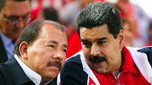 Plantilla ejemplo Paneles