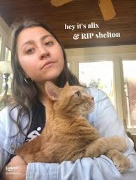 Remembering My Beloved Cat Shelton