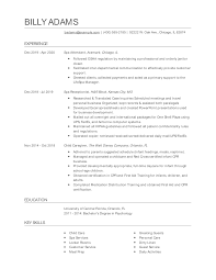 Cara membuat resume & contoh resume. Spa Attendant Resume Examples And Tips Zippia