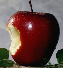 Oleskan ke kulit yang digigit nyamuk, lalu diamkan. Karena Sebiji Apel Resiari S Blog