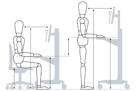 Workplace Planner Find The Right Height For Your Desk