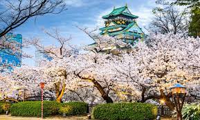 9 Day Tokyo Tour With Airfare From Affordable Asia In Tokyo Jp Groupon Getaways