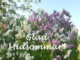 Hoppas alla hade en mysig midsommar, jag jobbade tyvärr men jag hoppas att min fortsatta sommar kommer se ut ungefär som ovan. Glad Midsommar Onskar Proximo Proximo