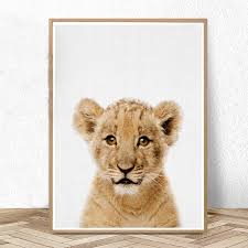 Safari animal baby nursery prints set childrens bedroom wall art pictures decor. Lion Cub Print Safari Nursery Decor Baby Animal Wall Art Pictures Large Poster Modern Posters And Prints Kids Bedroom Decoration Buy At The Price Of 2 93 In Aliexpress Com Imall Com