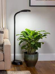 We did not find results for: Floor Plant Lamp Full Spectrum Led Grow Light Free Shipping Grow Lights For Plants Led Grow Lights Floor Plants