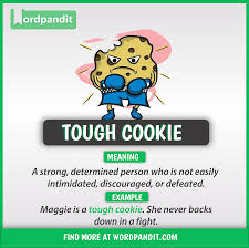 Idiom Of The Day Tough Cookie In 2020 English Phrases Idioms English Words English Vocabulary Words