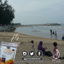 Kg pantai bharu, bachok, kelantan. Gum Arabic Check In Pantai Irama Bachok Kelantan Gum Arabic Gum Bachok