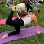 Goat Yoga at Rocky Point Creamery