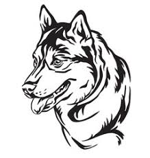 Huskies pulling a dog sled. Husky Outline Vector Images Over 580