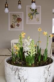 Deko Fruhling Fruhlingsdeko Selber Machen Mit Naturmaterialien Moos Fruhlingsbluher Zweige Dekoid Deko Fruhling Naturlich Dekorieren Naturliche Dekoration