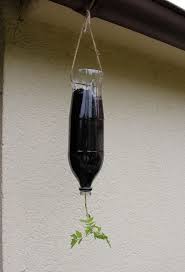 Tomaten Stehen Kopf Im Hangetopf Beetfreunde De In 2020 Tomaten Pflanzen Tomaten Pflanzen Pflege