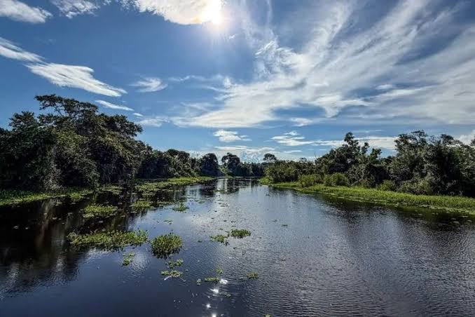 MPF vai &agrave; Justi&ccedil;a para obrigar cria&ccedil;&atilde;o de comit&ecirc; de prote&ccedil;&atilde;o do Pantanal &ndash; Muvuca Popular