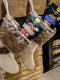 The tagline for nuts on its official nintendo page is as weird as it is intriguing: 31 Squirrel Brand Nuts Ideas Squirrel Brand Nuts