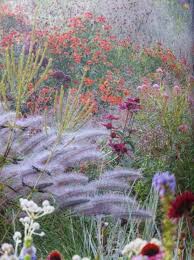 Rambulation Dutch Wave Garden Plants For The Piet Oudolf Look Suggested By The Daily Telegraph Books And Jardines Cultivo De Hortalizas Diseno De Jardin
