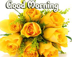 Check spelling or type a new query. Yellow Flower Good Morning Wallpaper Pix Trends