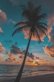 Customize and personalise your desktop, mobile phone and tablet with these free wallpapers! Pin Oleh Yamely Azcona Di Wallpapers Fotografi Alam Latar Belakang Fotografi Pantai
