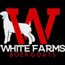 White Farms Boer Goats