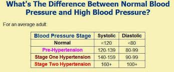 Kendra Hooks Hsc 6253 Blog How To Understand A Blood